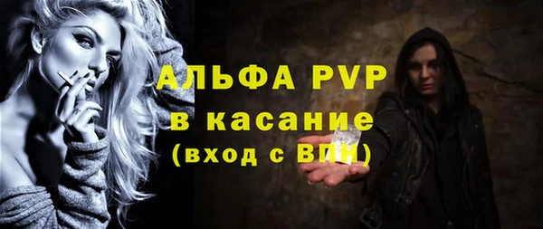 стафф Алексин