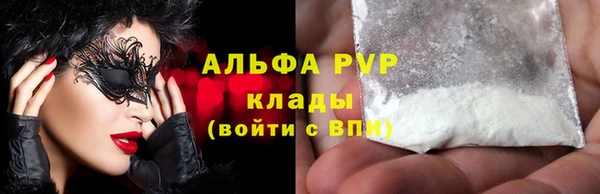 стафф Алексин