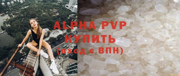 стафф Алексин