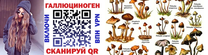 Купить где  Спасск-Рязанский  Галлюциногенные грибы MAGIC MUSHROOMS 